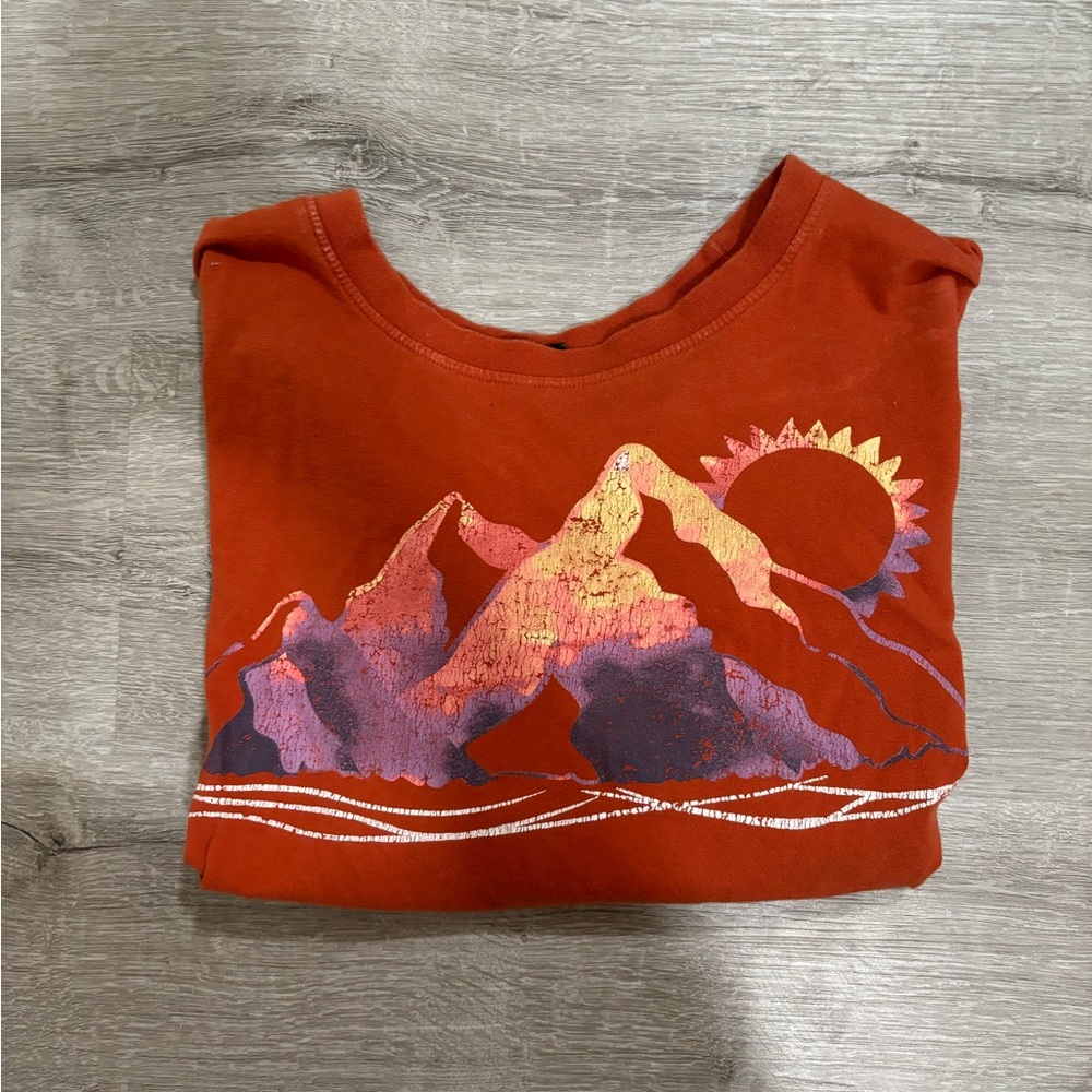 Burnt orange crop with mountain skyline